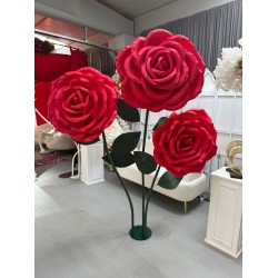 Eva Gül 3'Lü Kırmızı Eva Gül 3'Lü Kırmızı